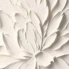 editdesignllc